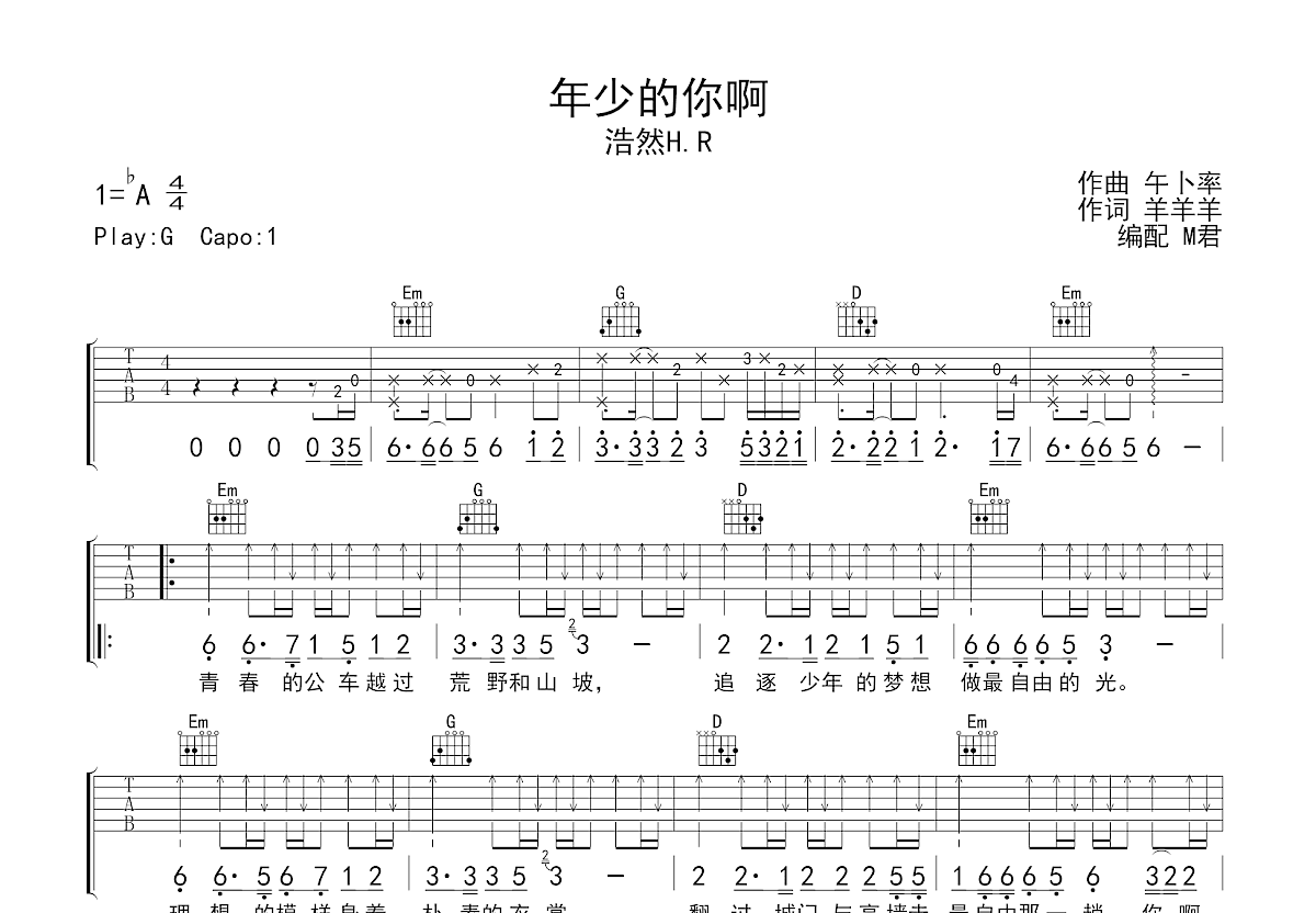 年少的你啊吉他谱预览图