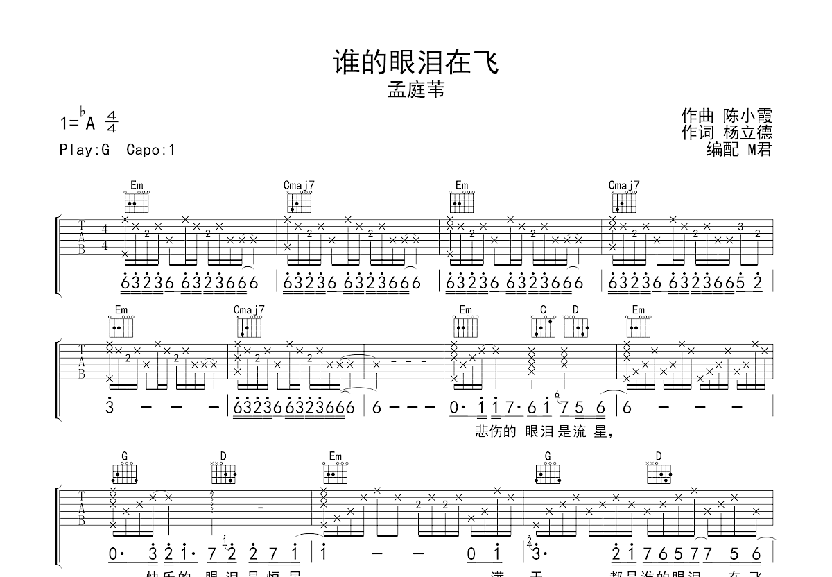 谁的眼泪在飞吉他谱预览图