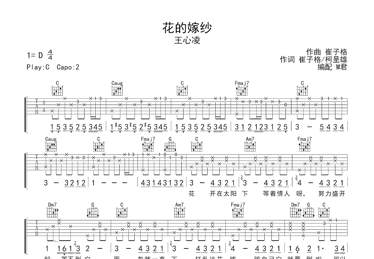 花的嫁纱吉他谱预览图