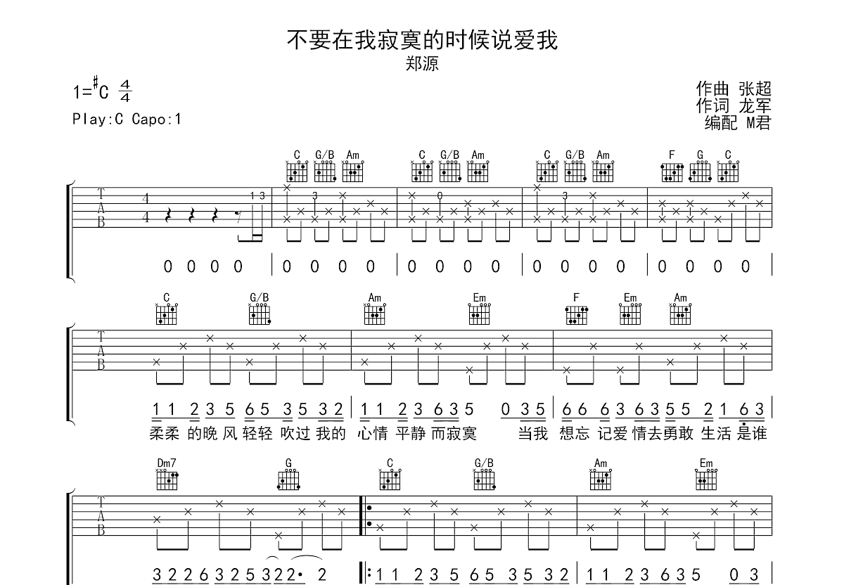 不要在我寂寞的时候说爱我吉他谱预览图