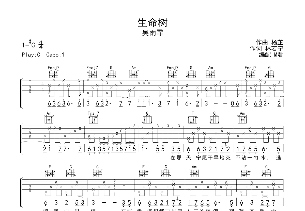 生命树吉他谱预览图