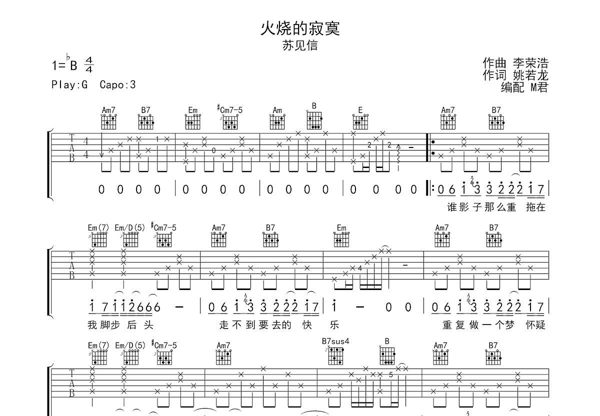 火烧的寂寞吉他谱预览图