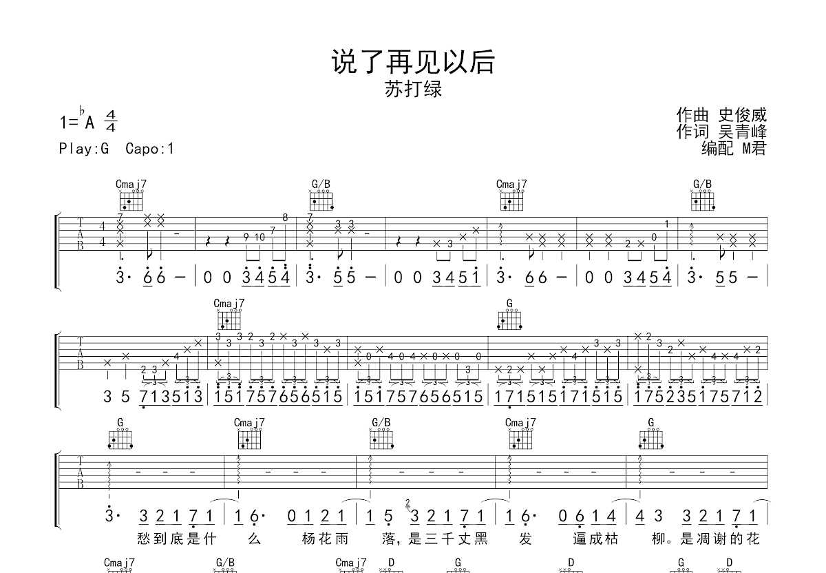 说了再见以后吉他谱预览图