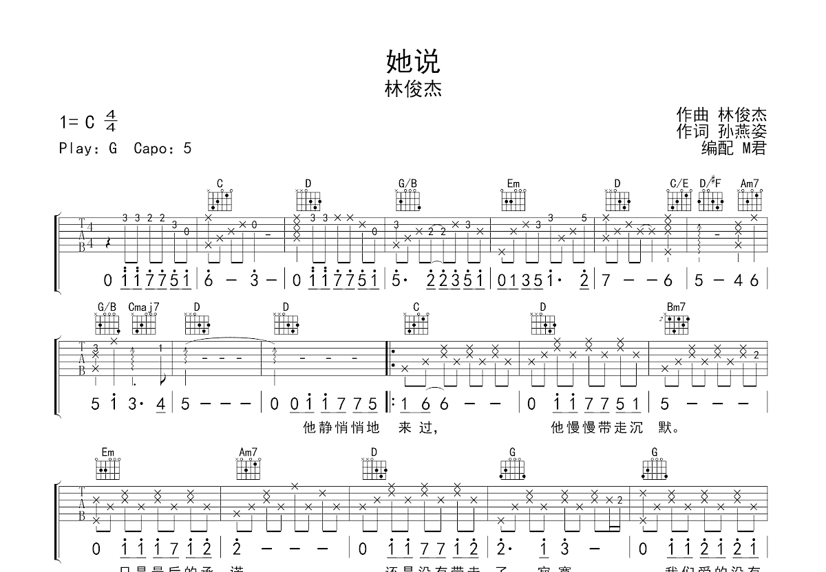 她说吉他谱预览图