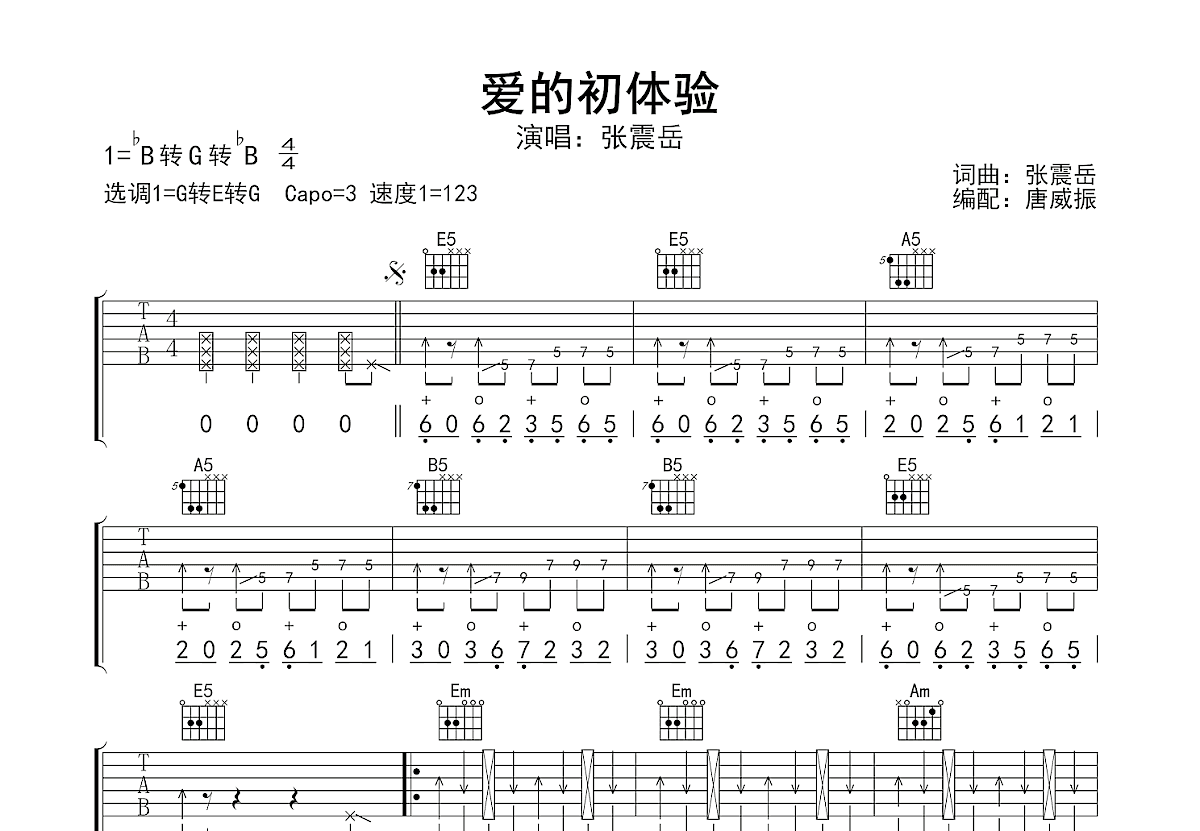 爱的初体验吉他谱预览图