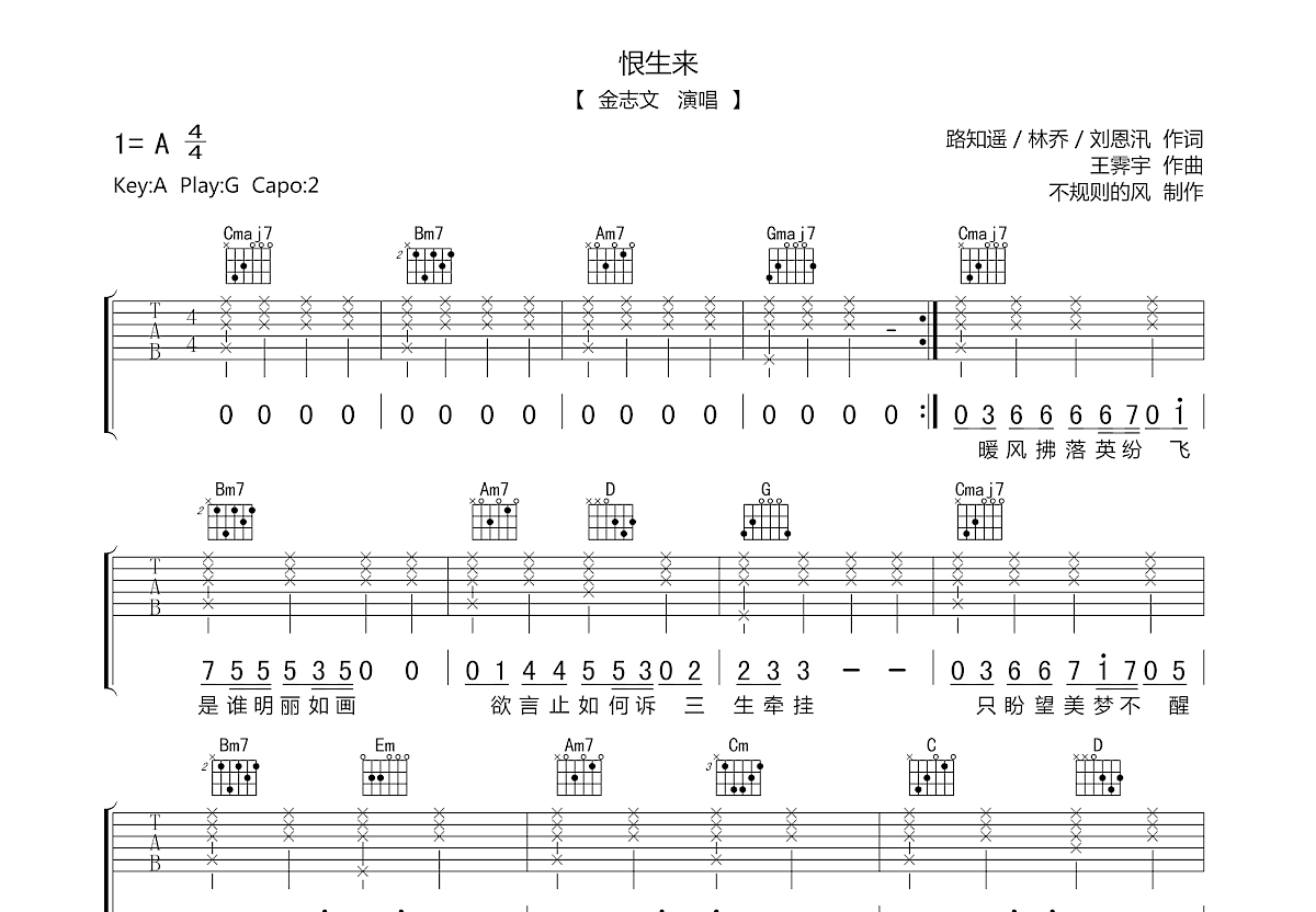 恨生来吉他谱预览图