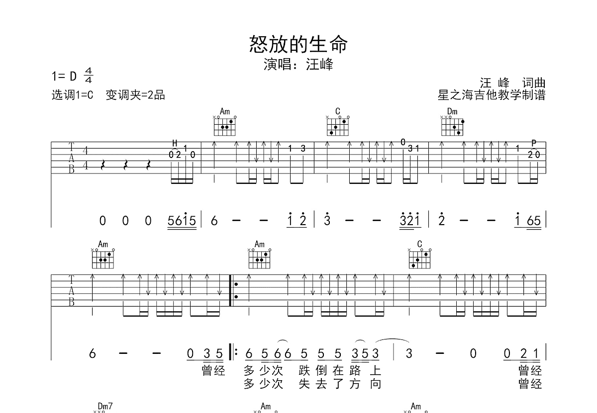 怒放的生命吉他谱预览图