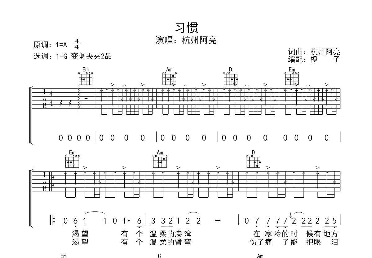 习惯吉他谱预览图