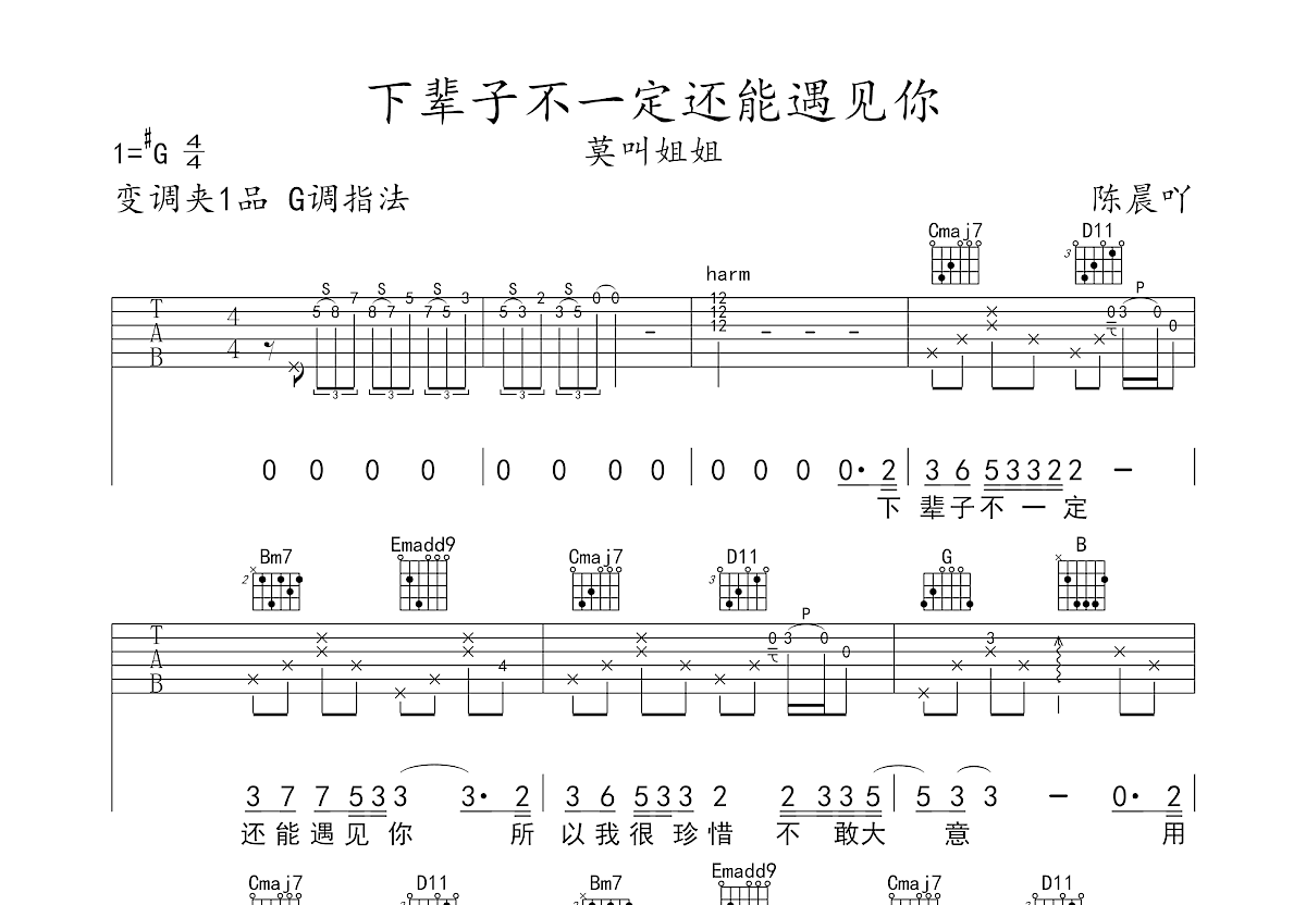 下辈子不一定还能遇见你吉他谱预览图