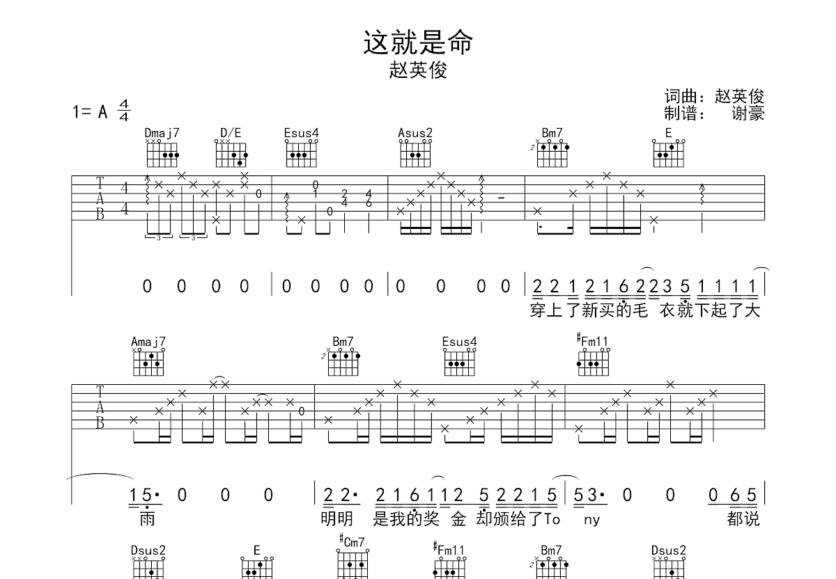 这就是命吉他谱预览图