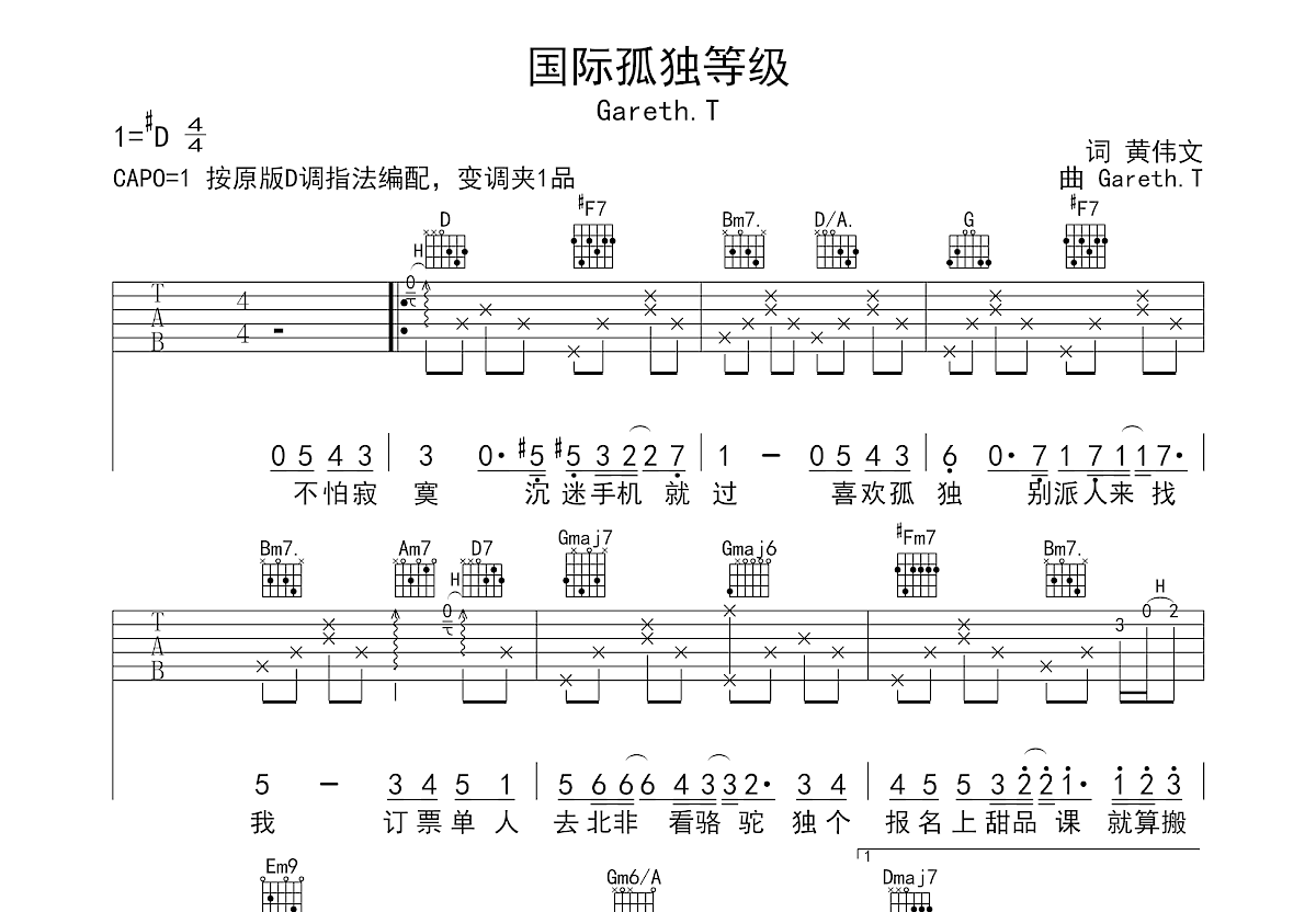 国际孤独等级吉他谱预览图