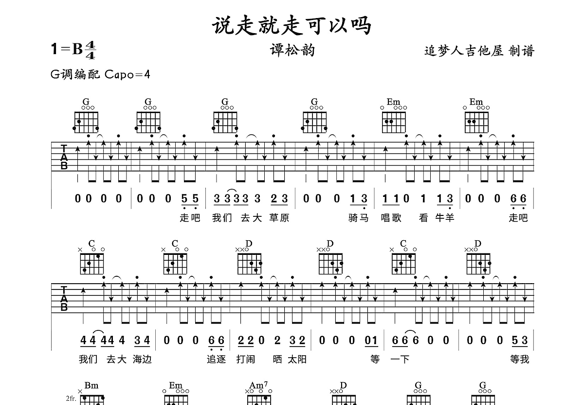 说走就走可以吗吉他谱预览图