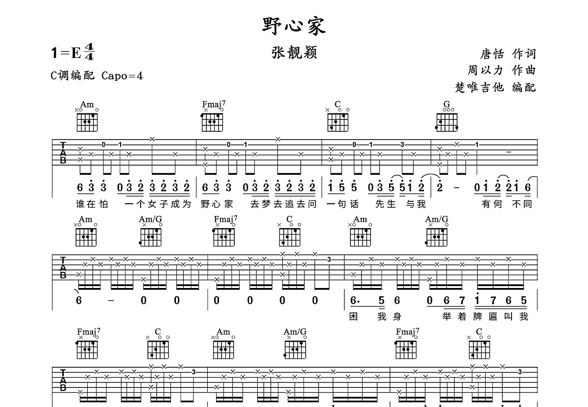 野心家吉他谱预览图
