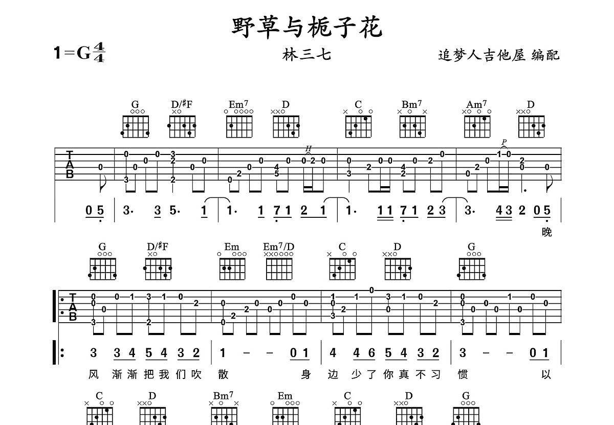 野草与栀子花吉他谱预览图