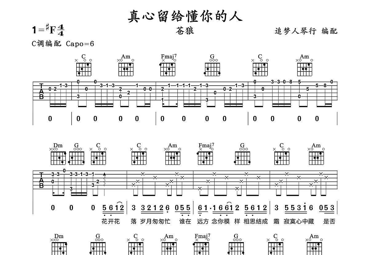 真心留给懂你的人吉他谱预览图