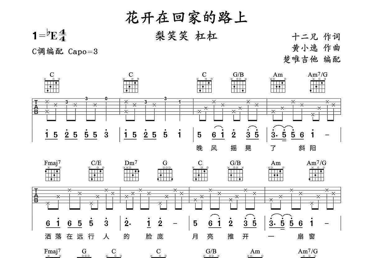 花开在回家的路上吉他谱预览图