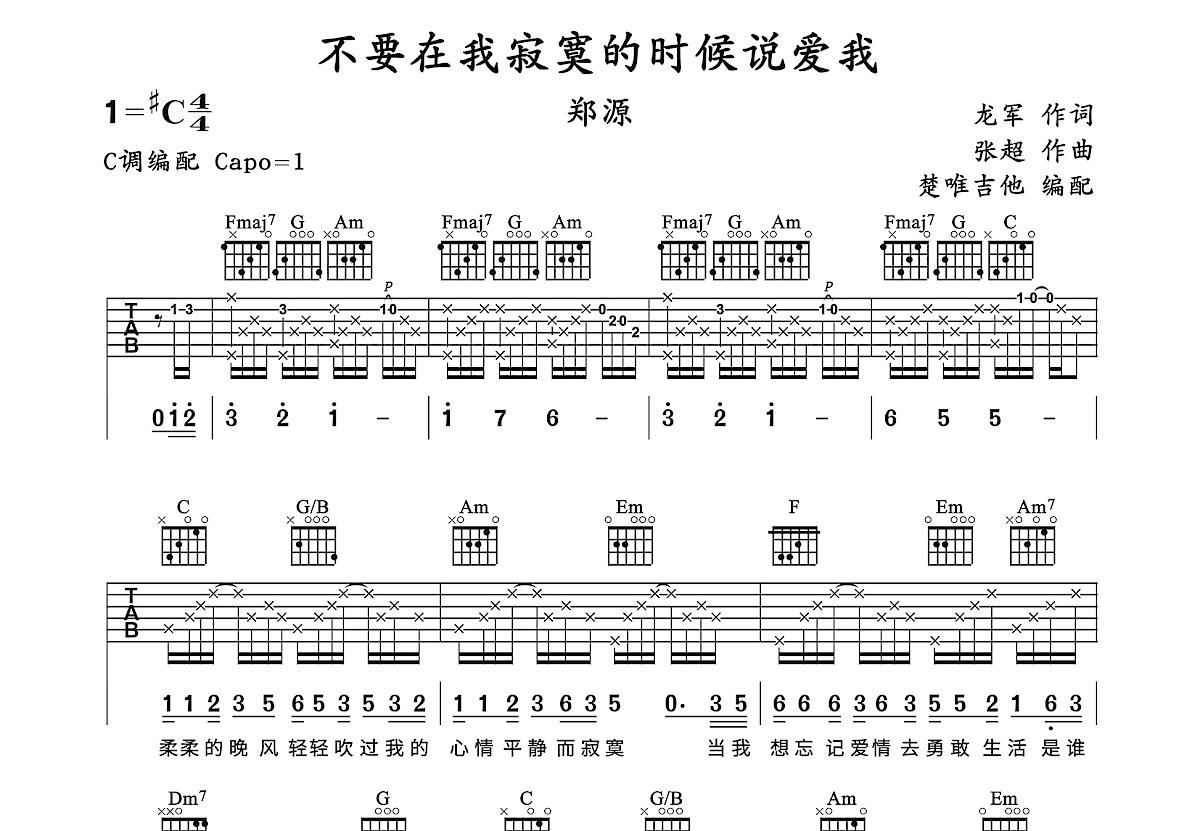 不要在我寂寞的时候说爱我吉他谱预览图