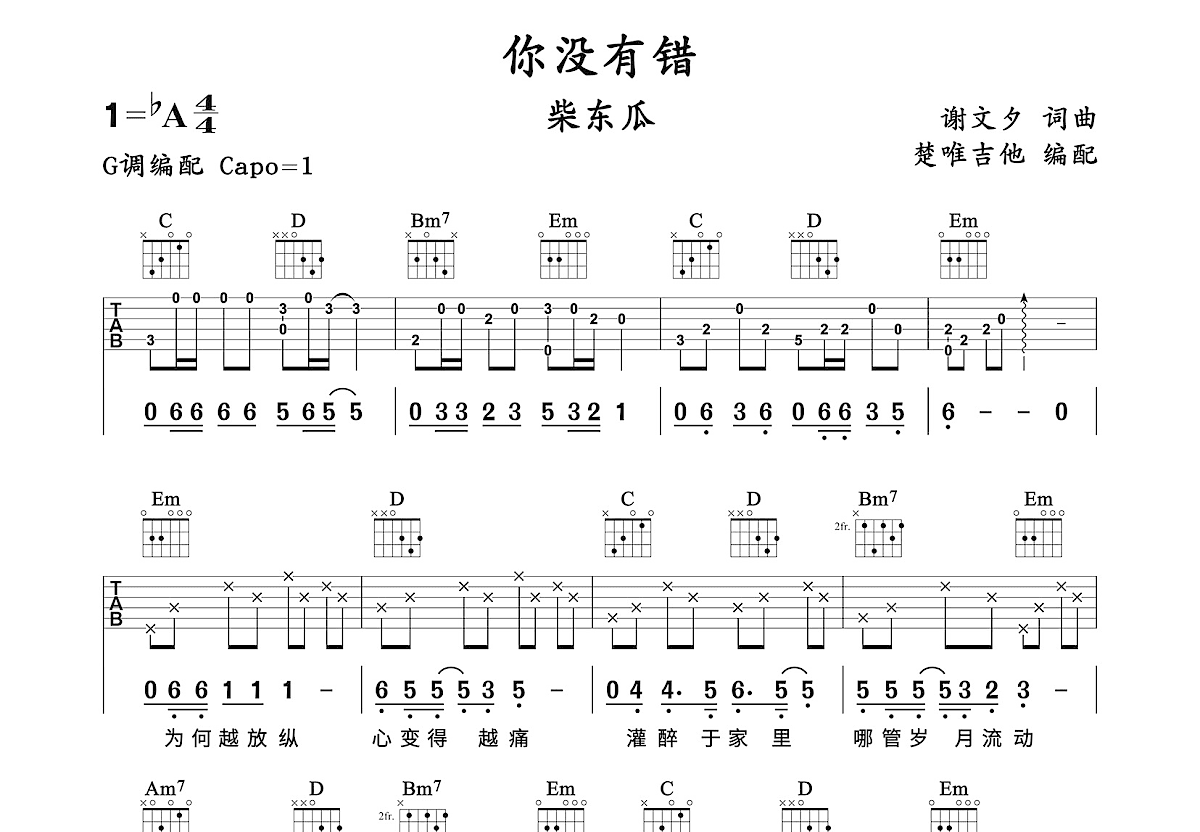 你没有错吉他谱预览图