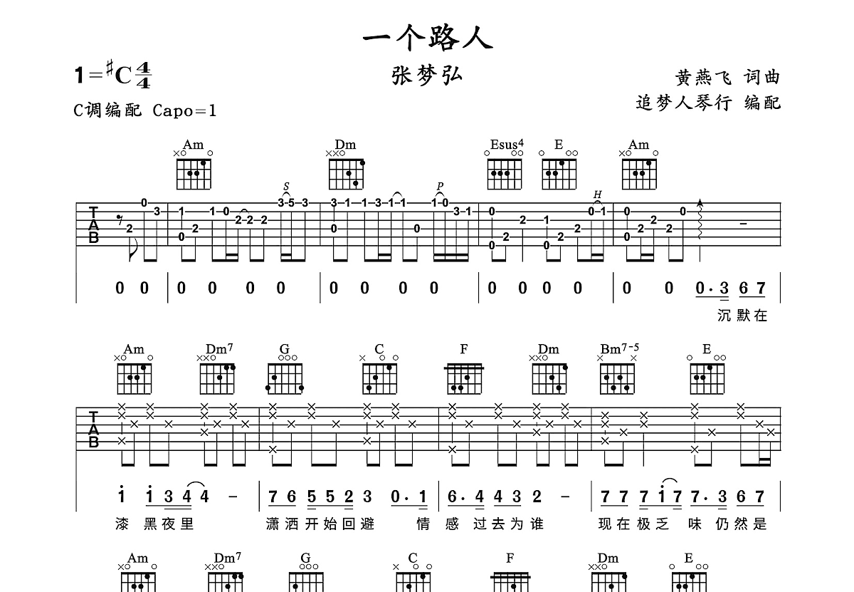 一个路人吉他谱预览图