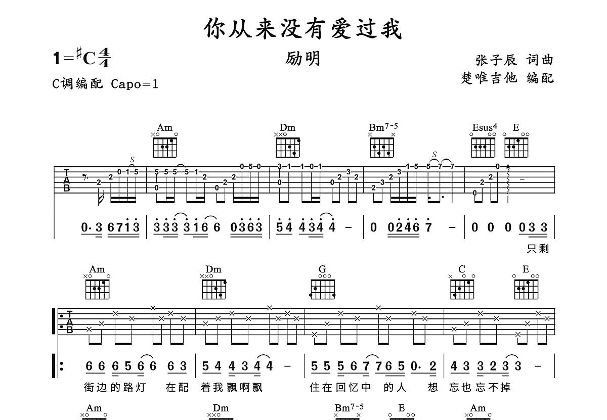 你从来没有爱过我吉他谱_励明_C调弹唱