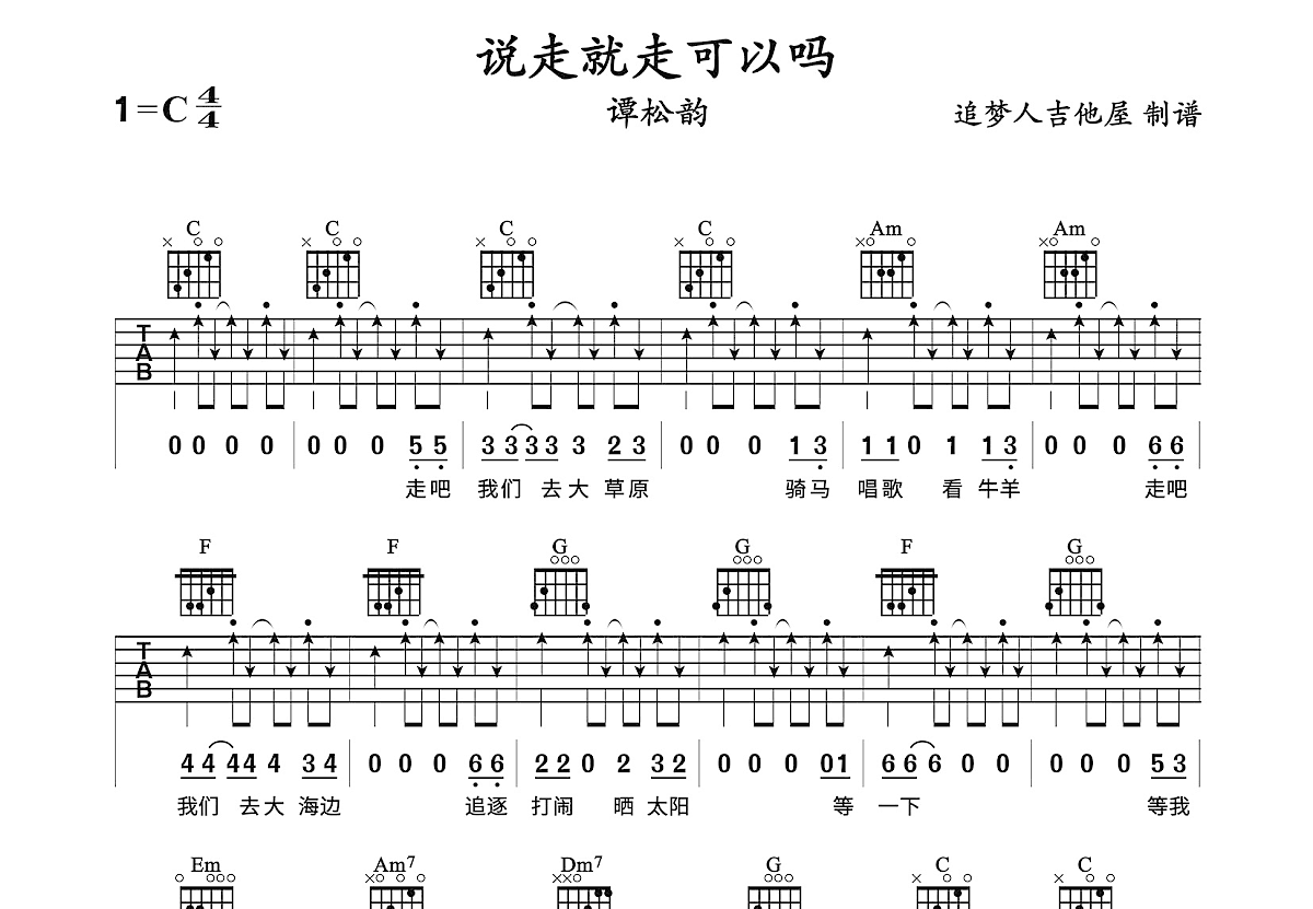 说走就走可以吗吉他谱预览图