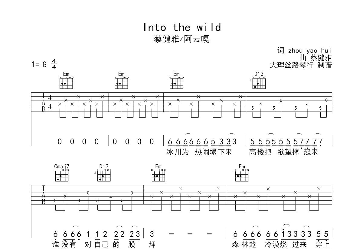 Into The Wild吉他谱预览图