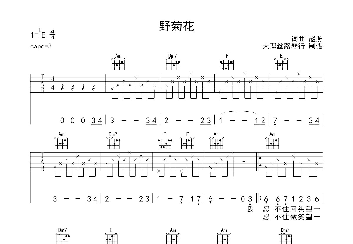 野菊花吉他谱预览图