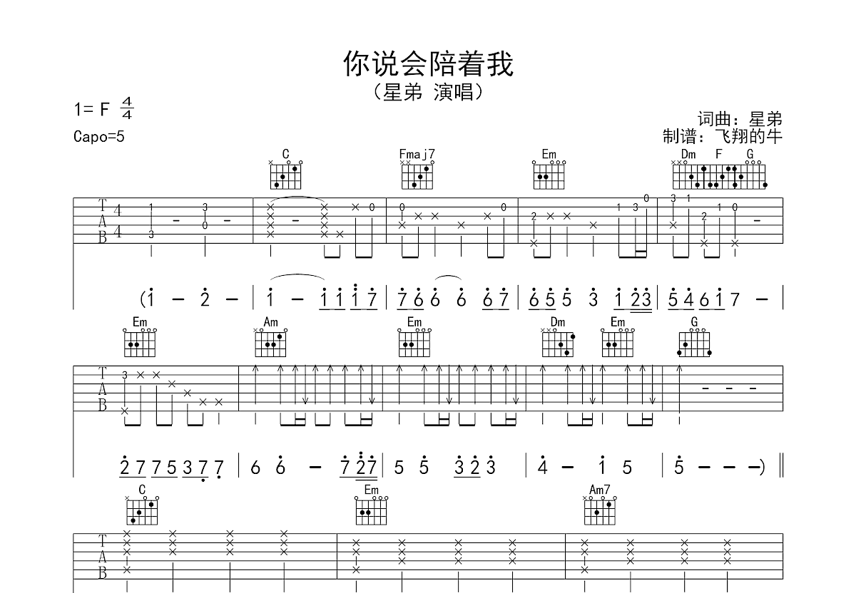 你说你会陪着我吉他谱预览图