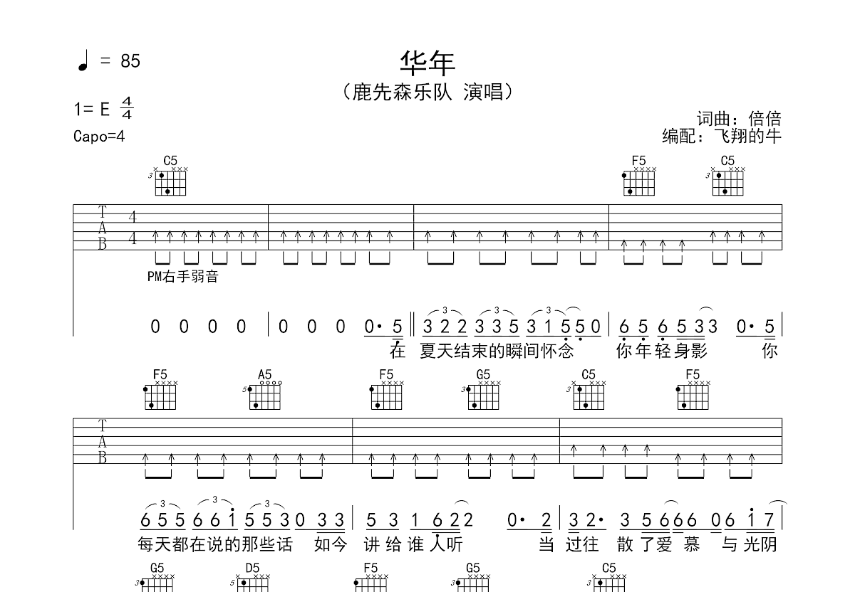 华年吉他谱预览图