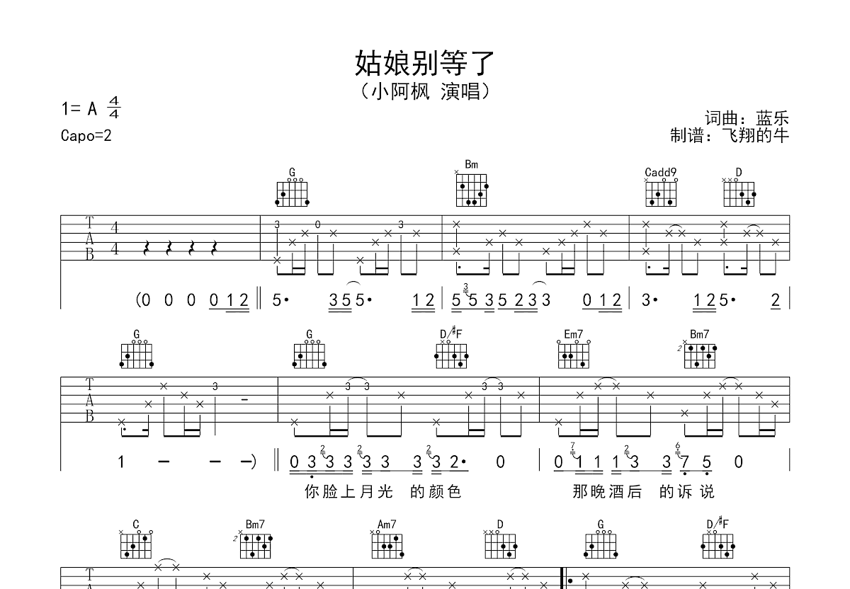 姑娘别等了吉他谱预览图