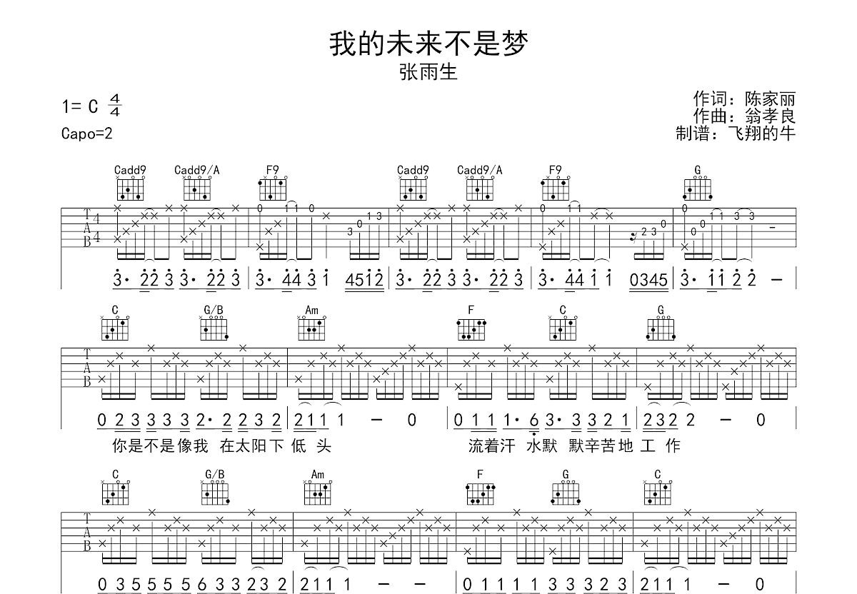 我的未来不是梦吉他谱预览图