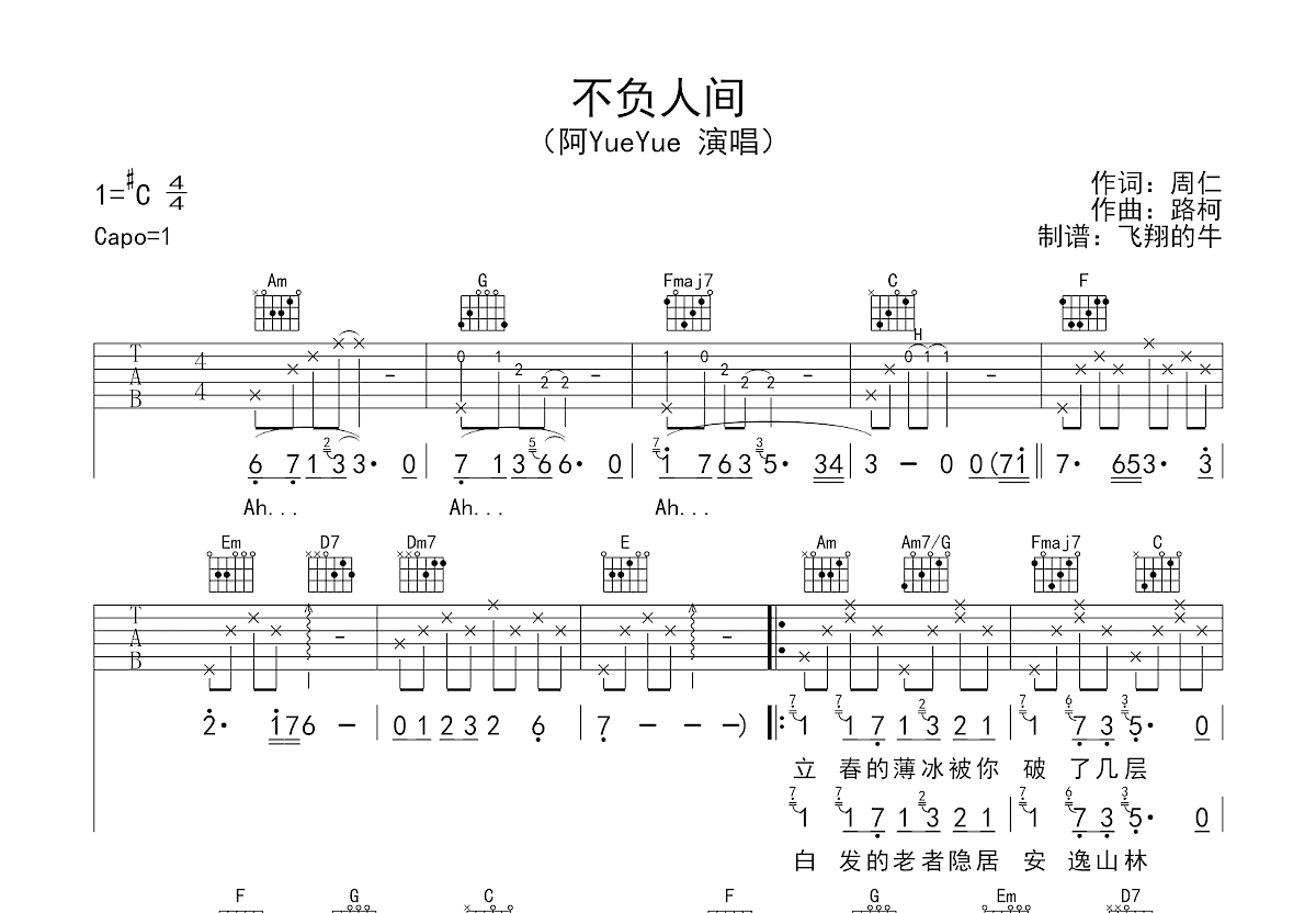 不负人间吉他谱预览图