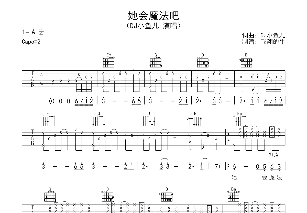 她会魔法吧吉他谱预览图