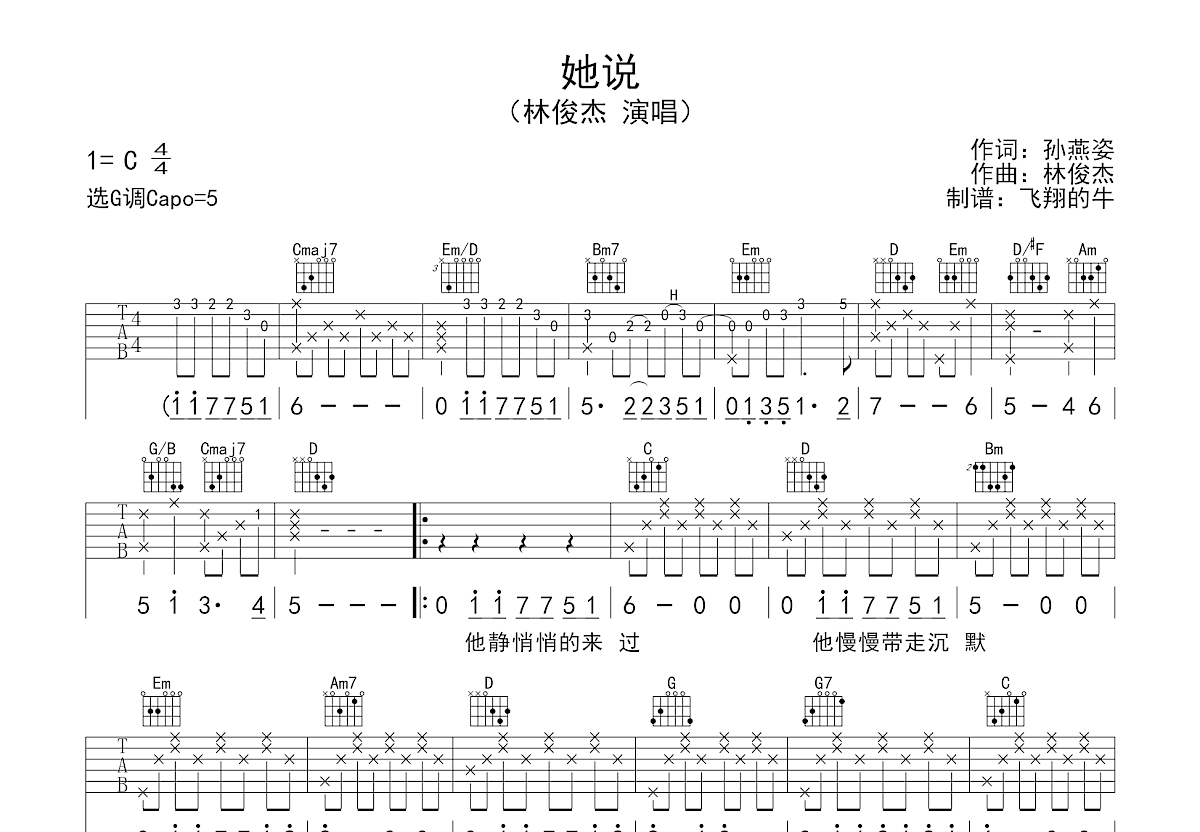 她说吉他谱预览图