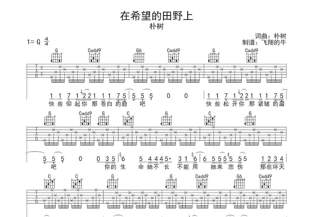 在希望的田野上吉他谱预览图